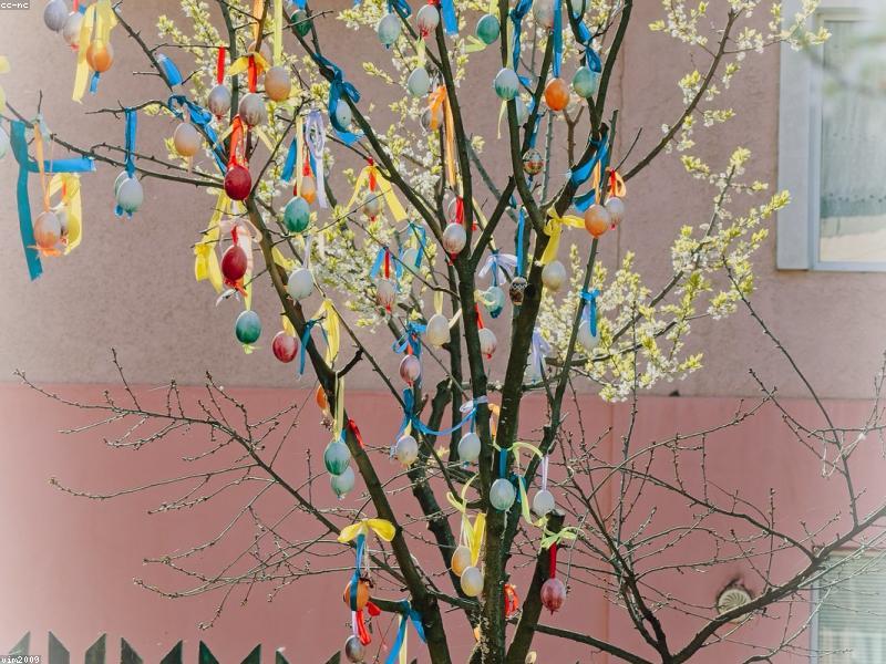 Grow Dynamic Info-Mediaries Graphic Design