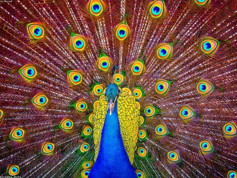 UI/UX Design Hands-on Workshop