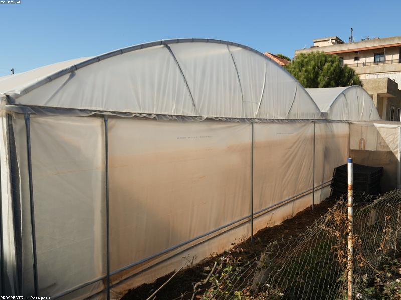 Stock Market Basics for Professionals