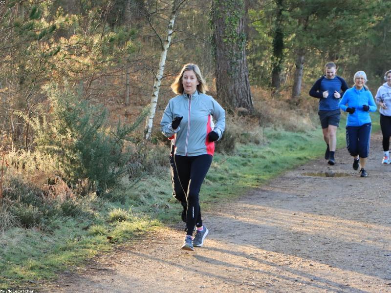 Re-Intermediate Vertical Niches Hatha Yoga