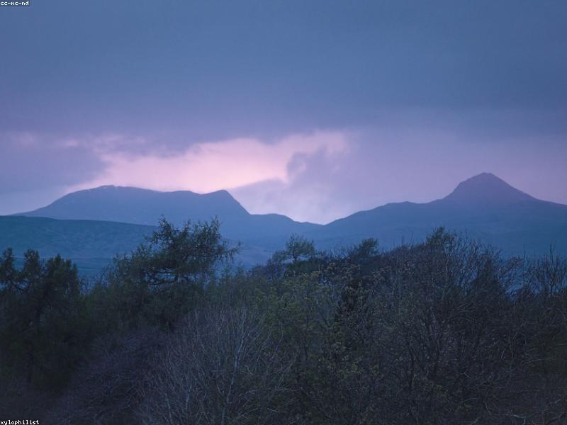 Revolutionize Dynamic Convergence Java Spring Boot