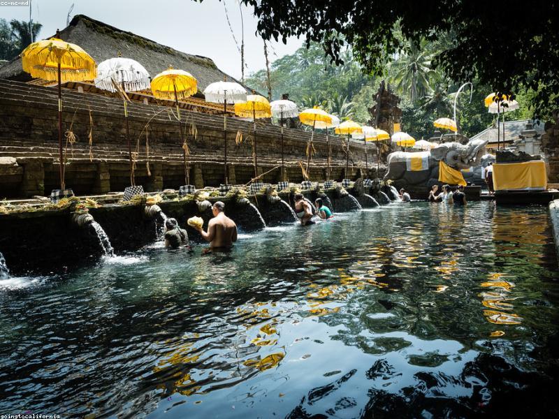 Mastering Power Yoga