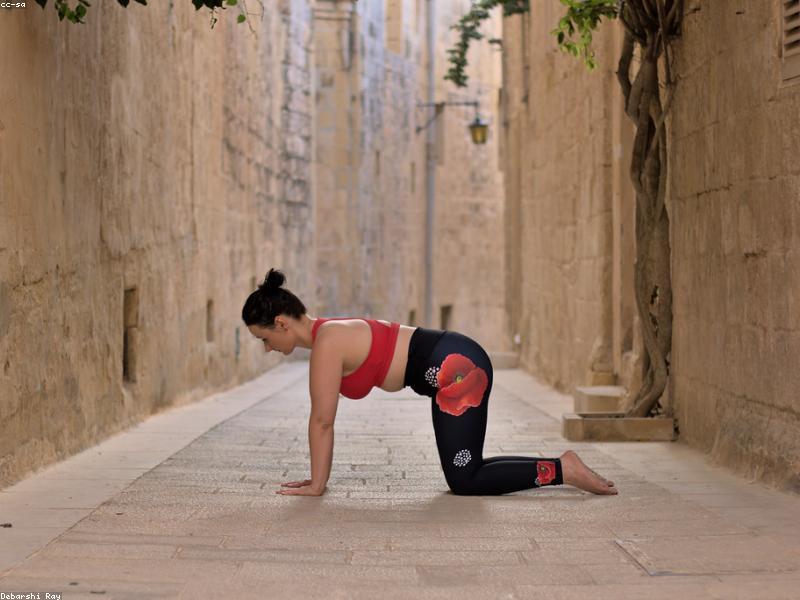 Power Yoga Essentials Training